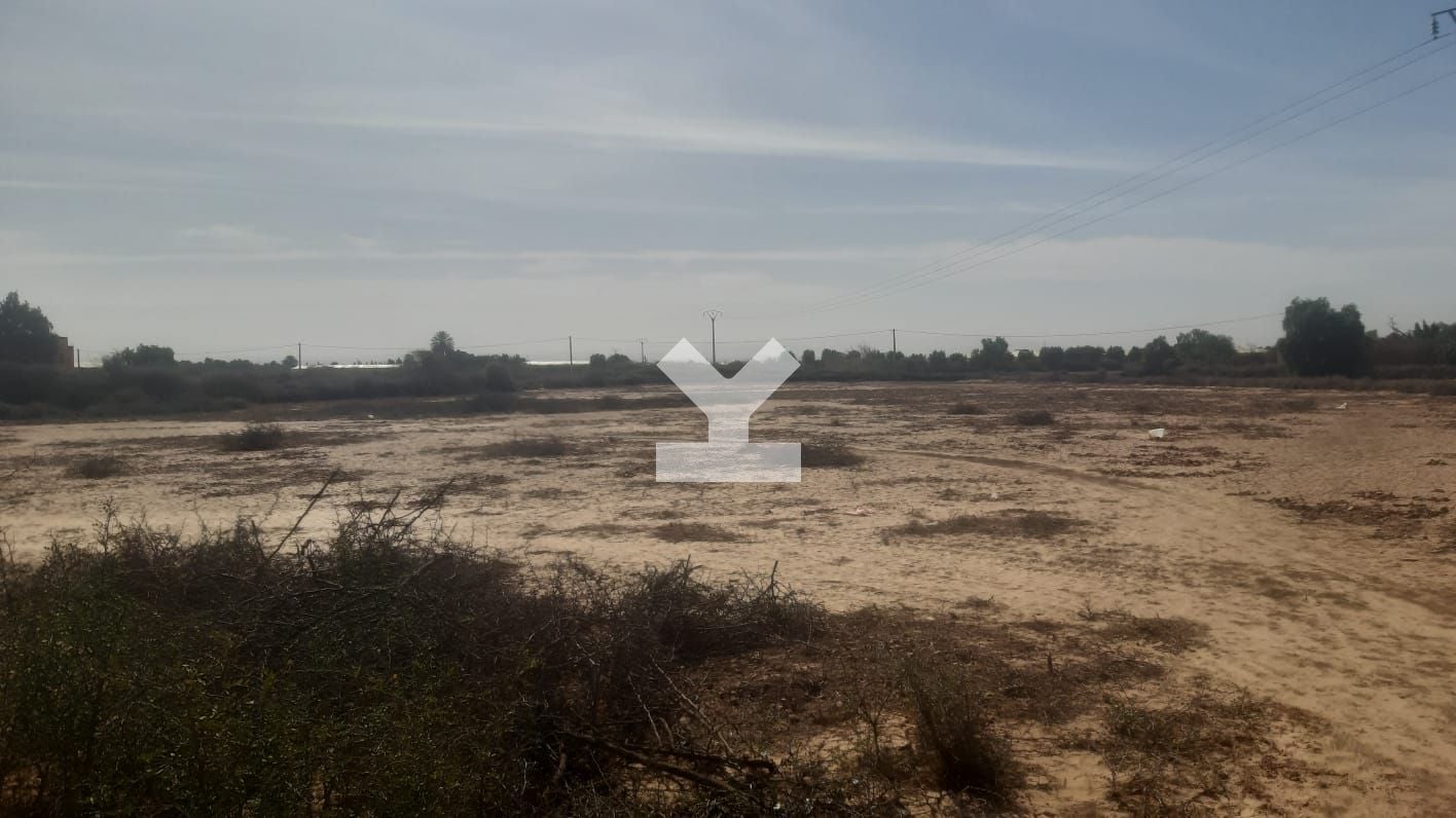 / i085890/image_654868629.jpeg